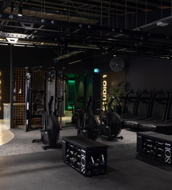 Modern gym with treadmills and weight training equipment