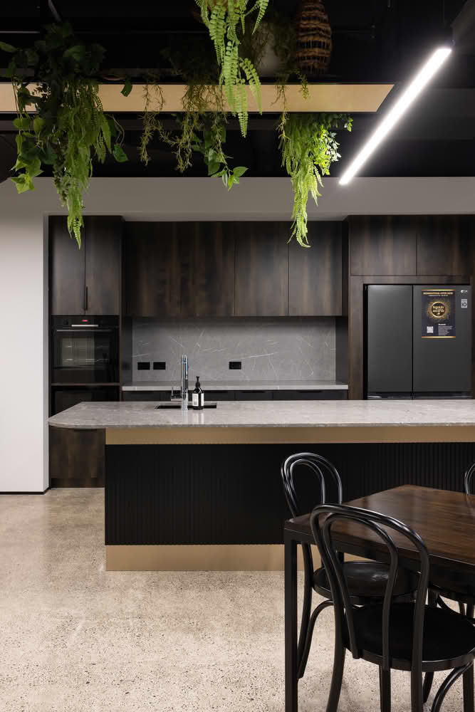 Modern kitchen with dark cabinets and indoor plants