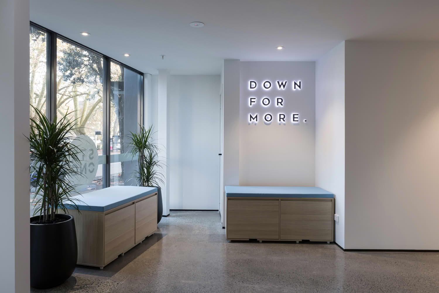 Modern office lobby with seating and plants