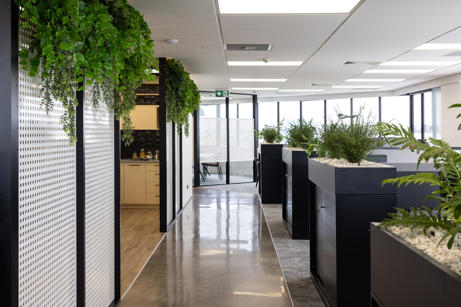 Modern open-plan office with indoor plants and lighting