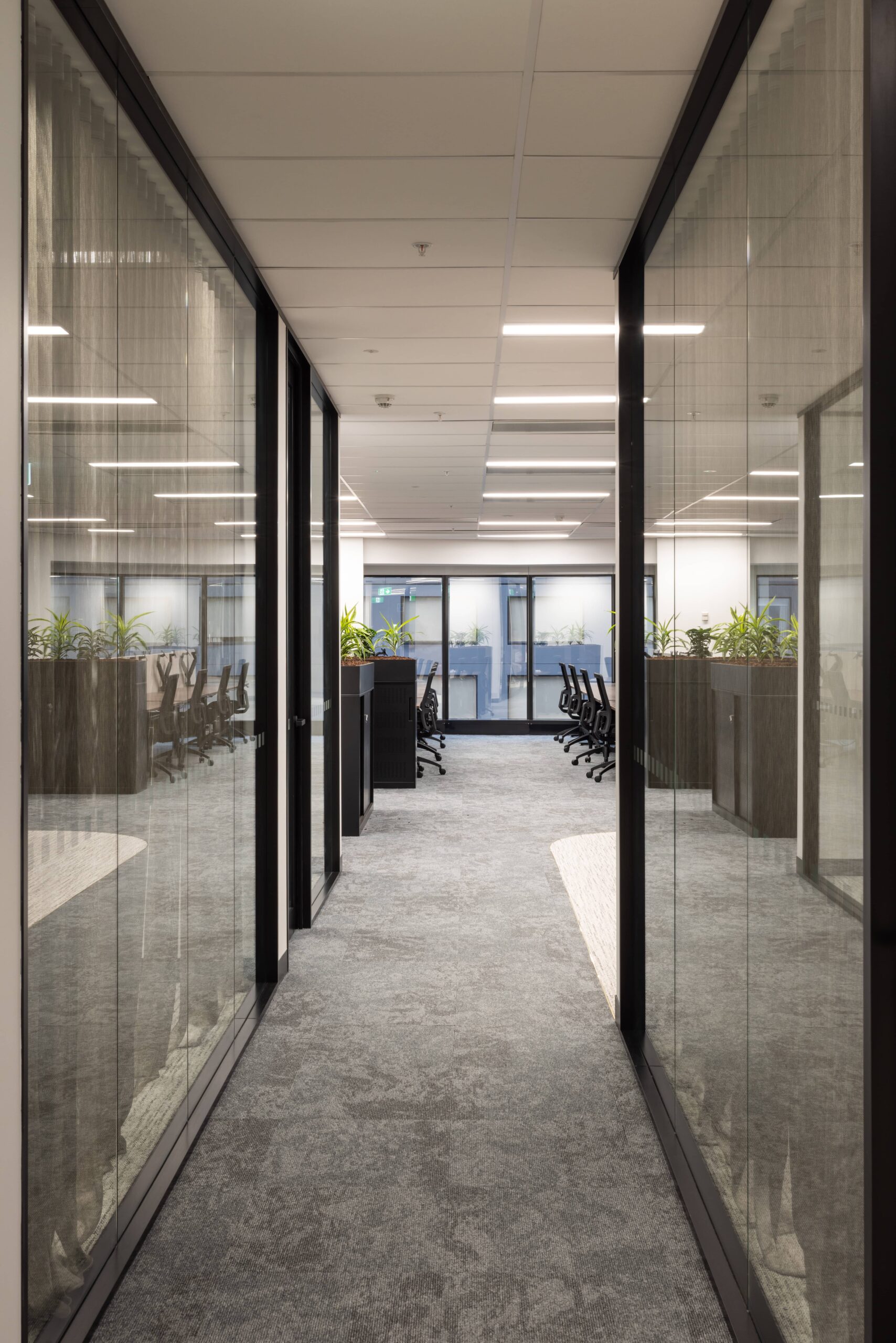 Spec Suite Office Fit-out11