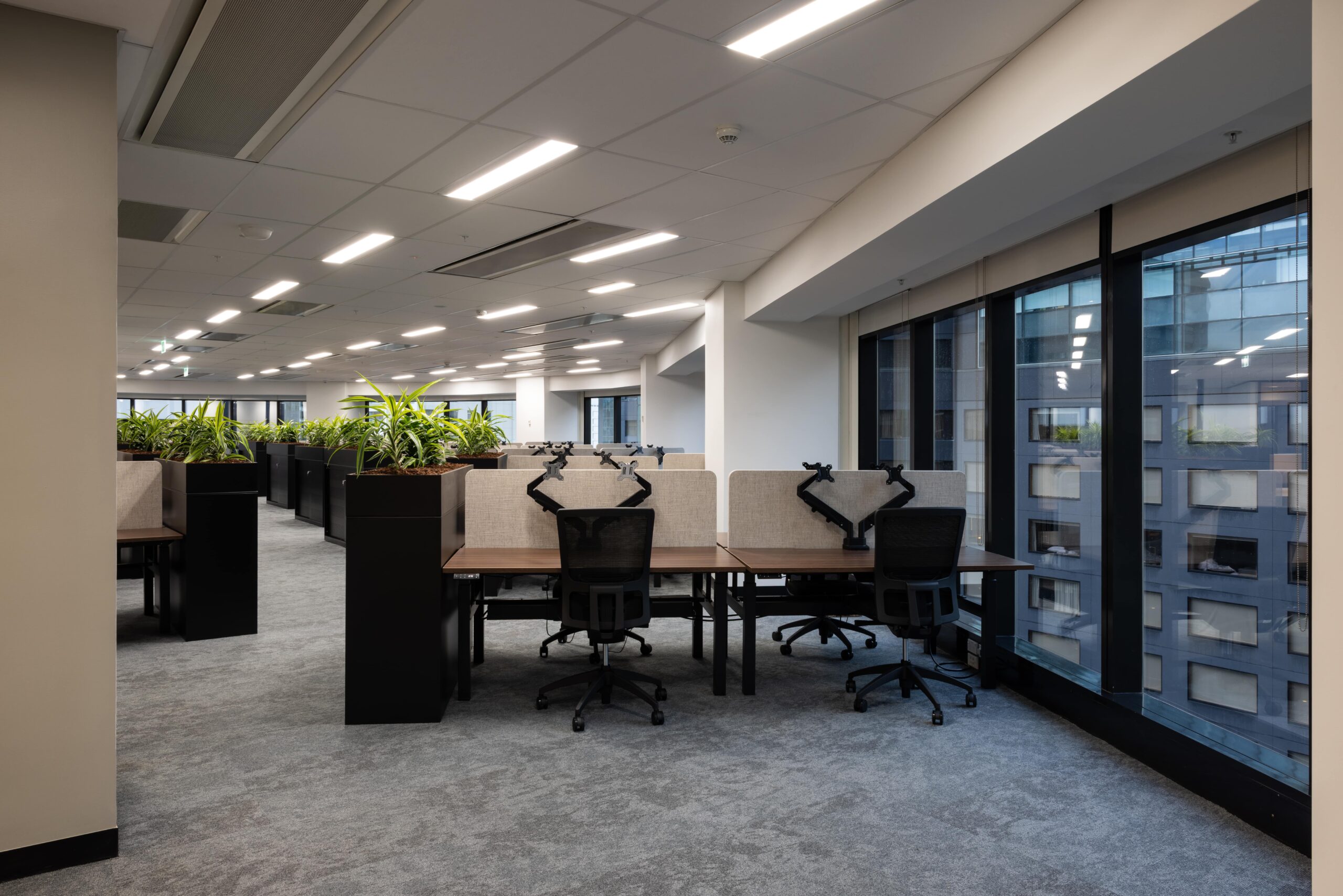 Spec Suite Office Fit-out16